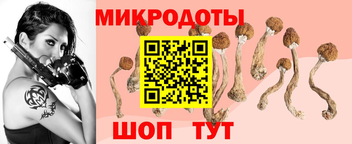 Галлюциногенные грибы Psilocybe Бахчисарай